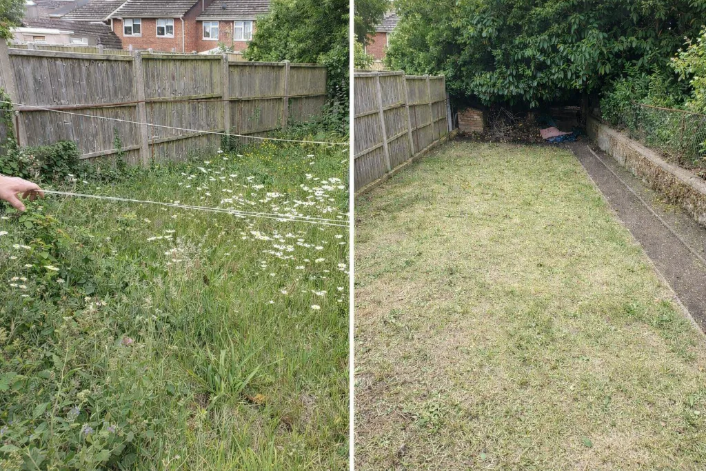 Overgrown lawn rescue — Boscombe